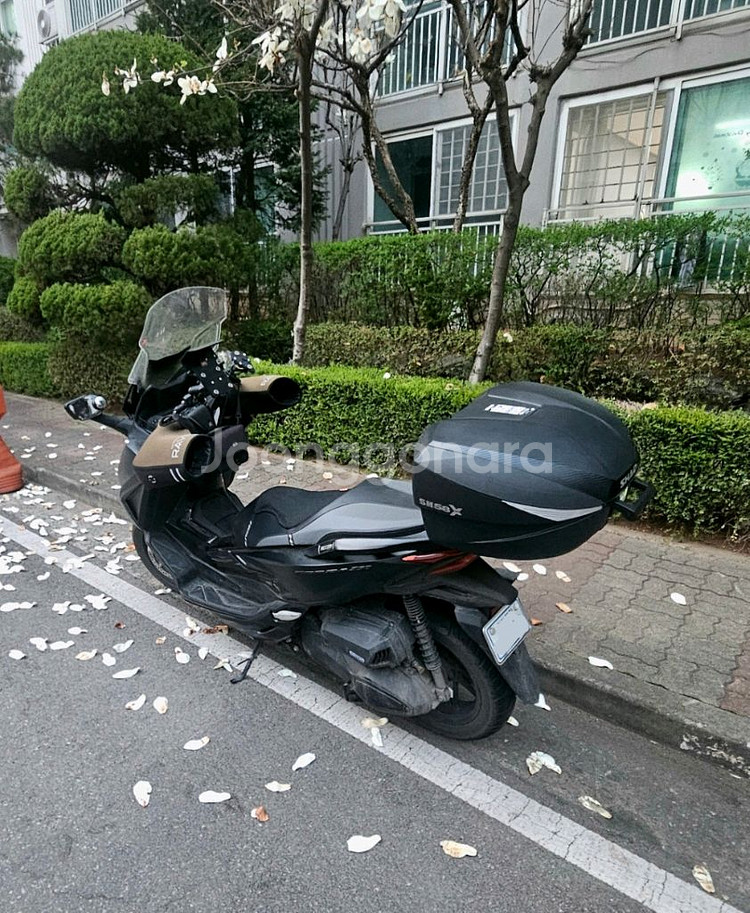 혼다 포르자350 23년식 블랙--0