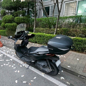 혼다 포르자350 23년식 블랙