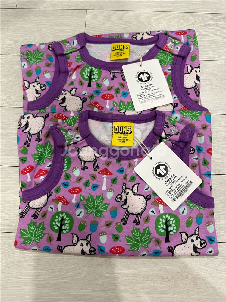 던스 보라돼지 덩가리 80--0