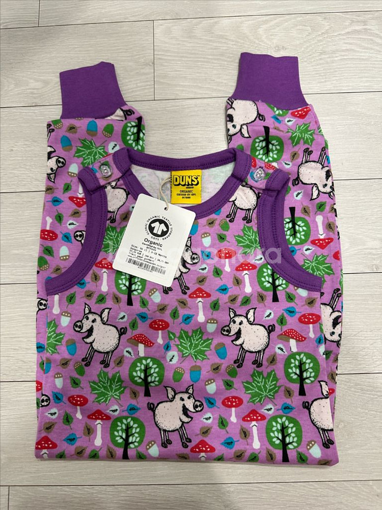 던스 보라돼지 덩가리 80--1