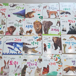 훈민출판사 캥거루자연주머니 소전집 20권 일괄