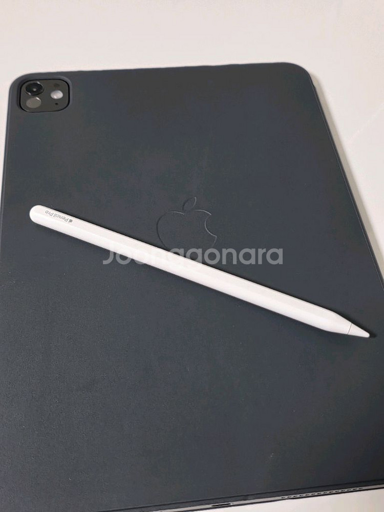 아이패드 프로 M4 11인치 256GB wifi--2