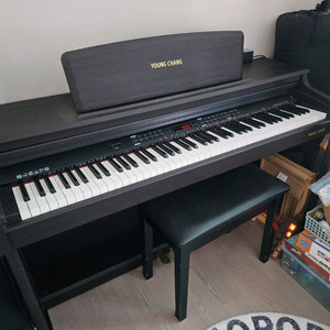 영창디지털피아노