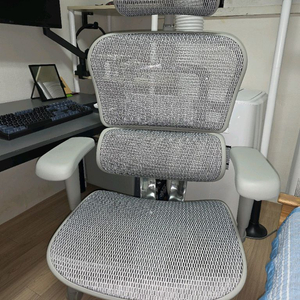 에르고휴먼 b이글x 의자 판매