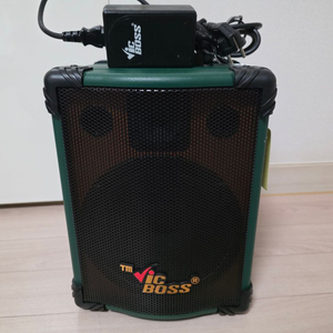 빅보스 이동식 앰프 PWA-110