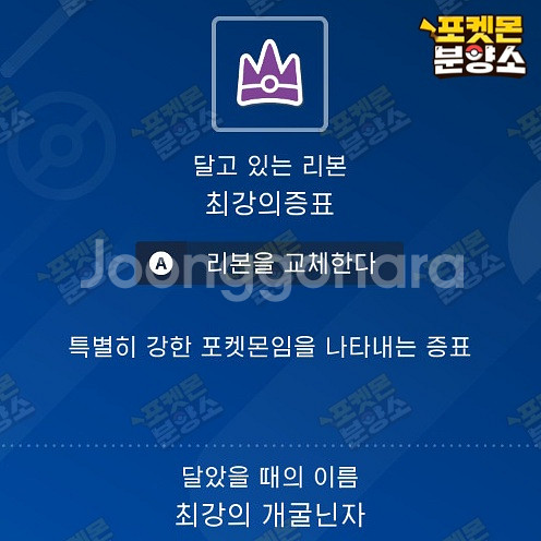 최강의 테라레이드 포켓몬 분양 / 스칼렛 바이올렛--5