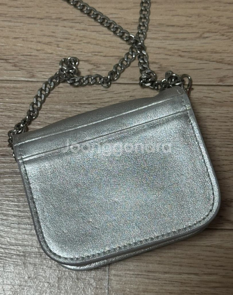 옴니포턴트 미니 체인백--2