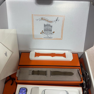 Hermes 애플워치8 에르메스 실버 41mm
