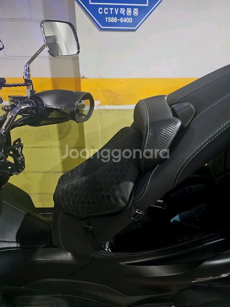 24년 pcx--1
