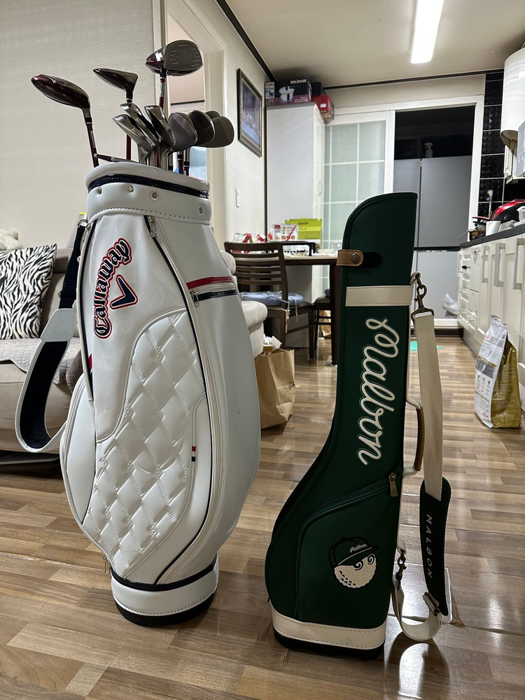 젝시오 12 여성 골프채 풀세트 퍼터포함, 가방포함 이미지
