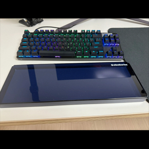 스틸시리즈 Apex Pro TKL 마그네틱축 팝니다