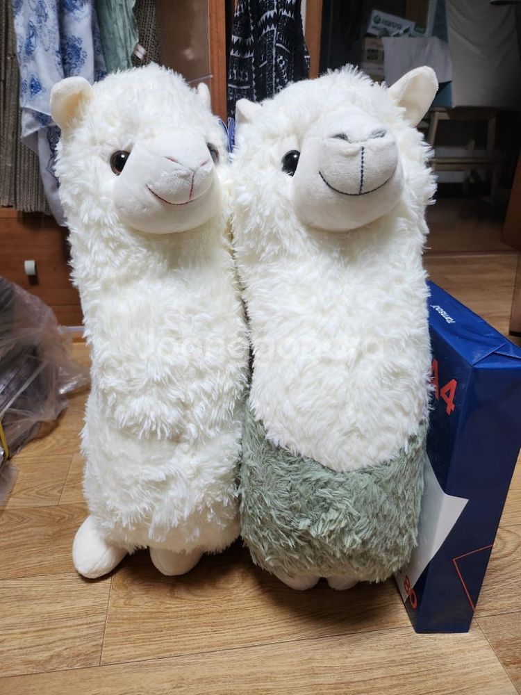 라마인형 55cm 2개--0