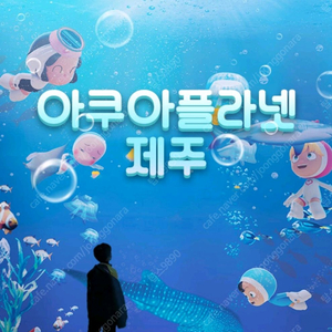 아쿠아플라넷 입장권 제주