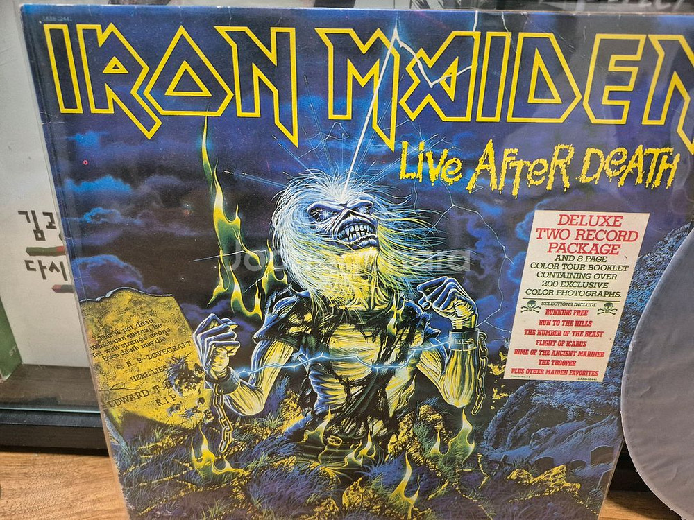 아이언메이든 Live of death lp--0