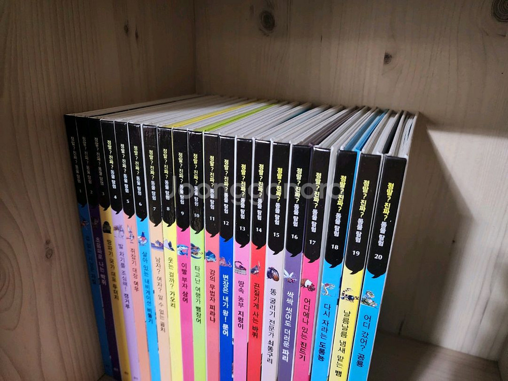 웅진 정말? 진짜? 동물탐험(무료배송)--1