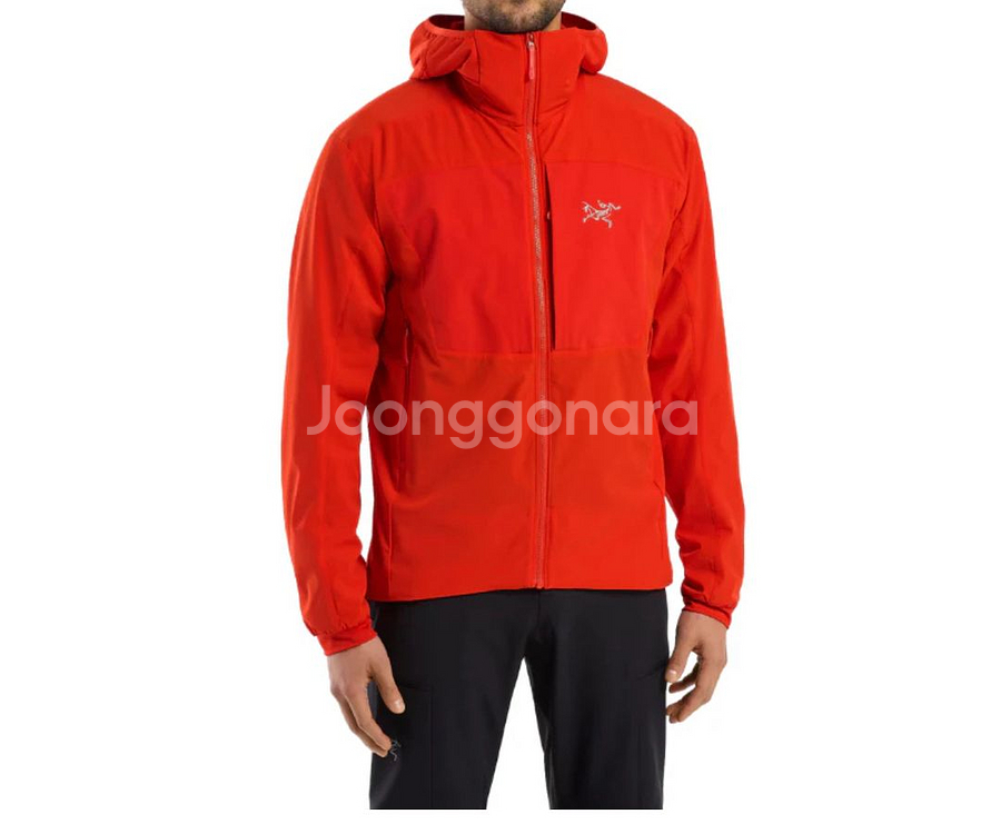 아크테릭스 프로 프랙티셔너 ar 후디--0