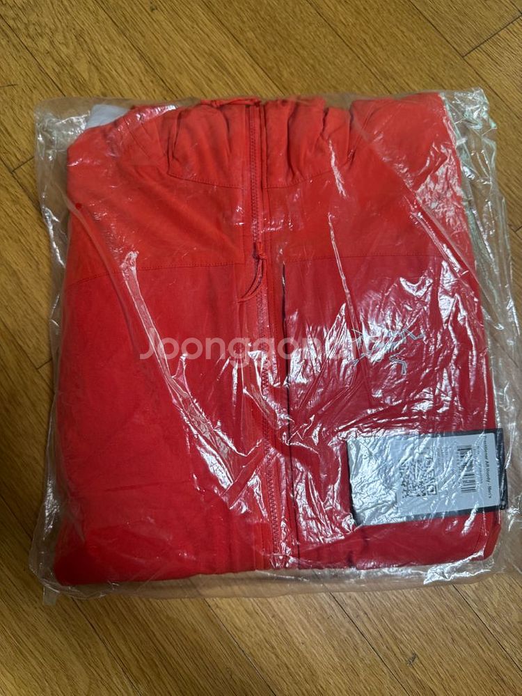 아크테릭스 프로 프랙티셔너 ar 후디--2