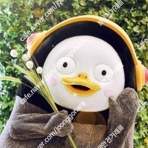 GOD 서울/부산공연 VIP연석 최저가 양도