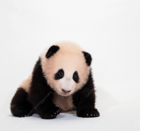 에버랜드 사파리 스페셜투어 10월10일, 로스트밸리 등--0