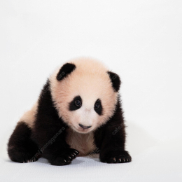 에버랜드 사파리 스페셜투어 10월10일, 로스트밸리 등