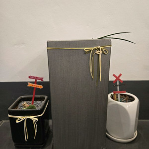 작은화분 2개 중간크기 1개 큰화분 1개