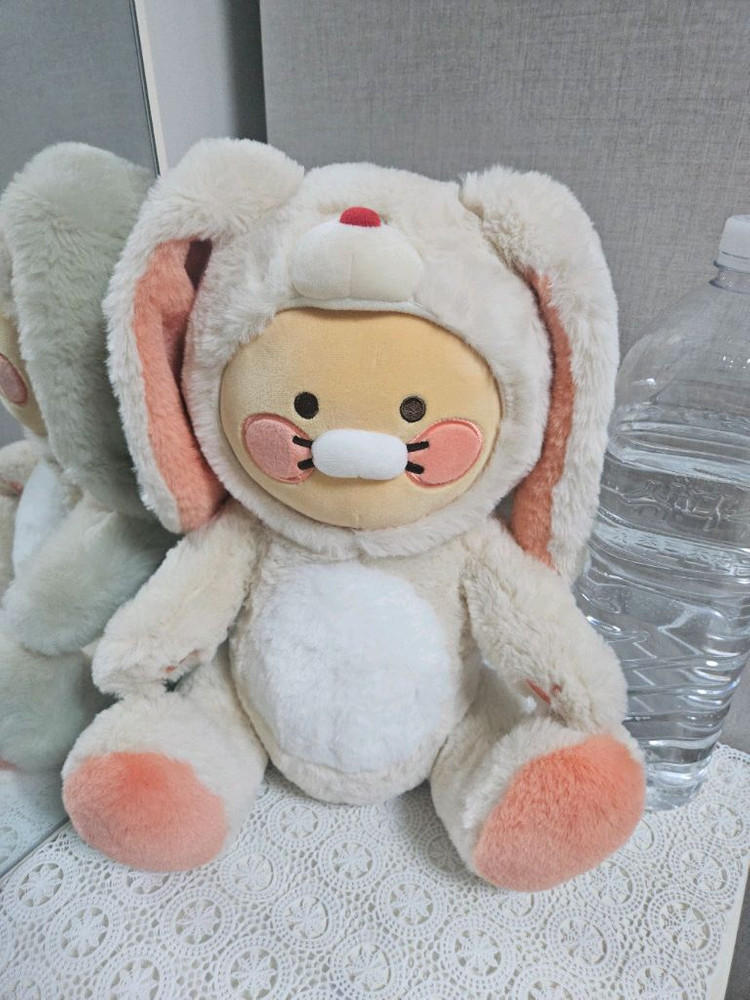 베트남인형,짱구인형, 라이언등 이미지