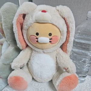 베트남인형,짱구인형, 라이언등 이미지