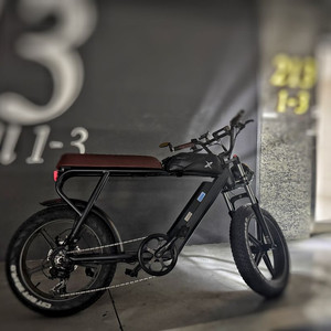 SMDBIKE V2 전기 자전거 자토바이