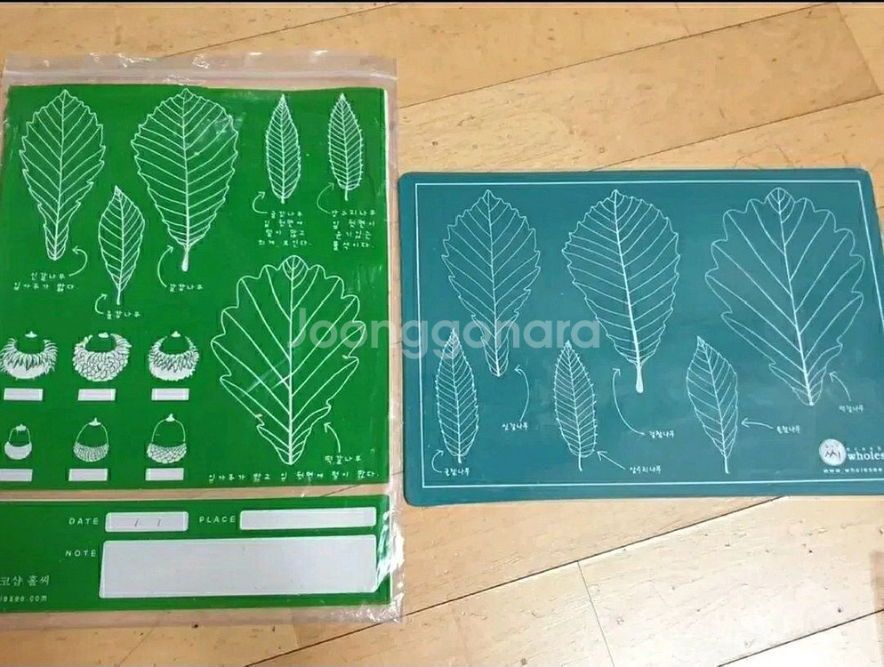 나뭇잎 탁본 뜨기 세트 홀씨 숲체험 교구--1