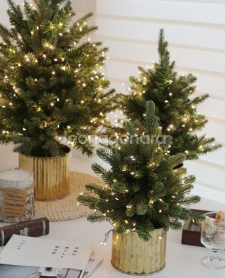 이디야 커피 생과일 수박주스 L 5500->3000원--0