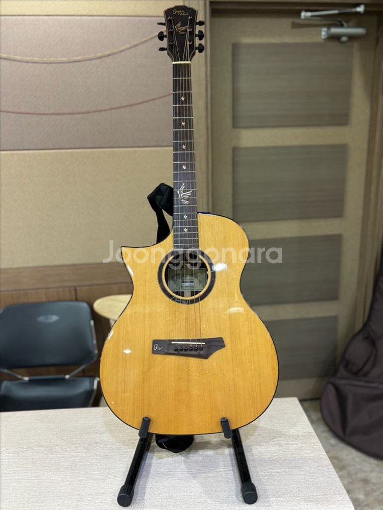 고퍼우드 i320RCE LH 픽업 왼손 기타--0