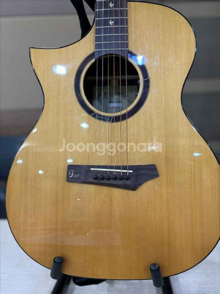고퍼우드 i320RCE LH 픽업 왼손 기타--1