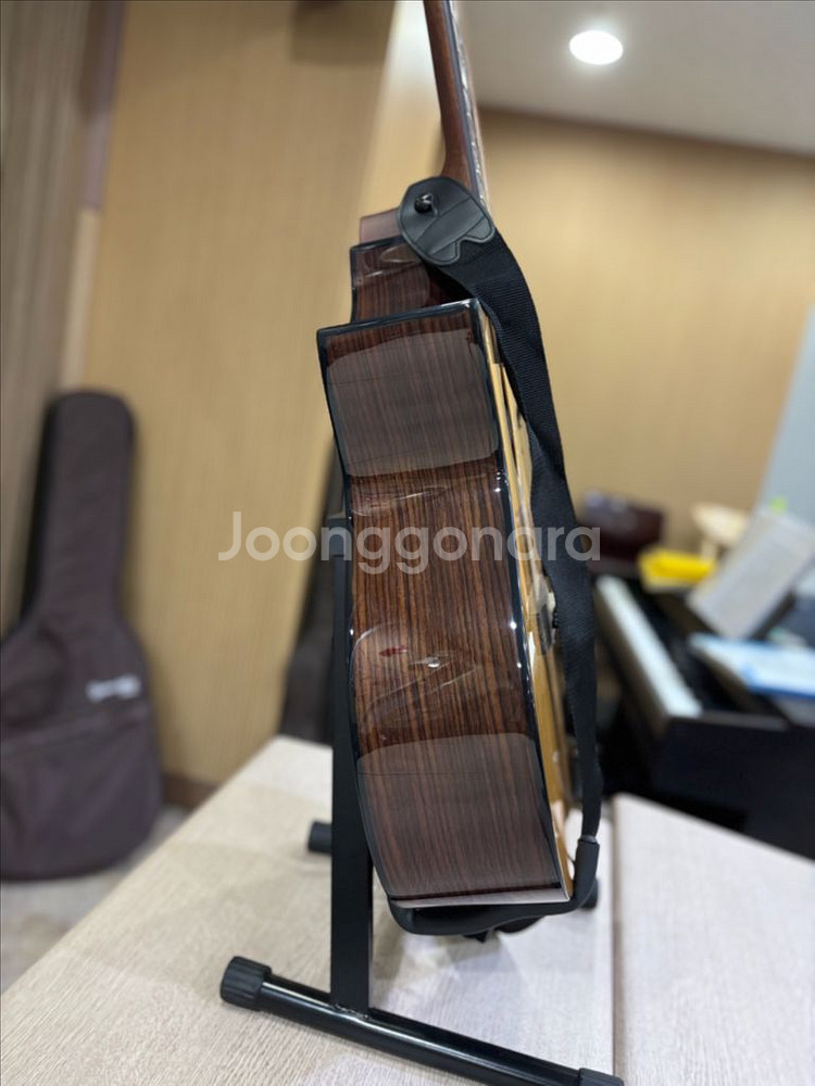고퍼우드 i320RCE LH 픽업 왼손 기타--4