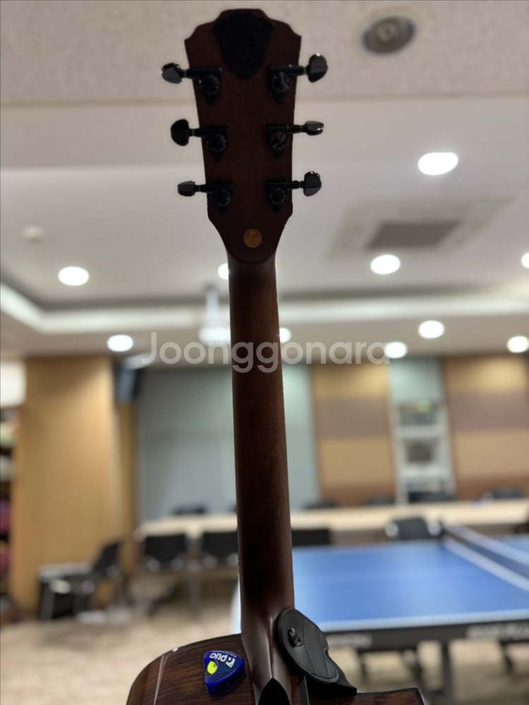 고퍼우드 i320RCE LH 픽업 왼손 기타--3