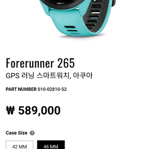 가민 포러너 265 아쿠아 46mm