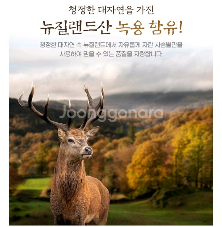 동의삼 홍삼녹용침향진액고1kg--2