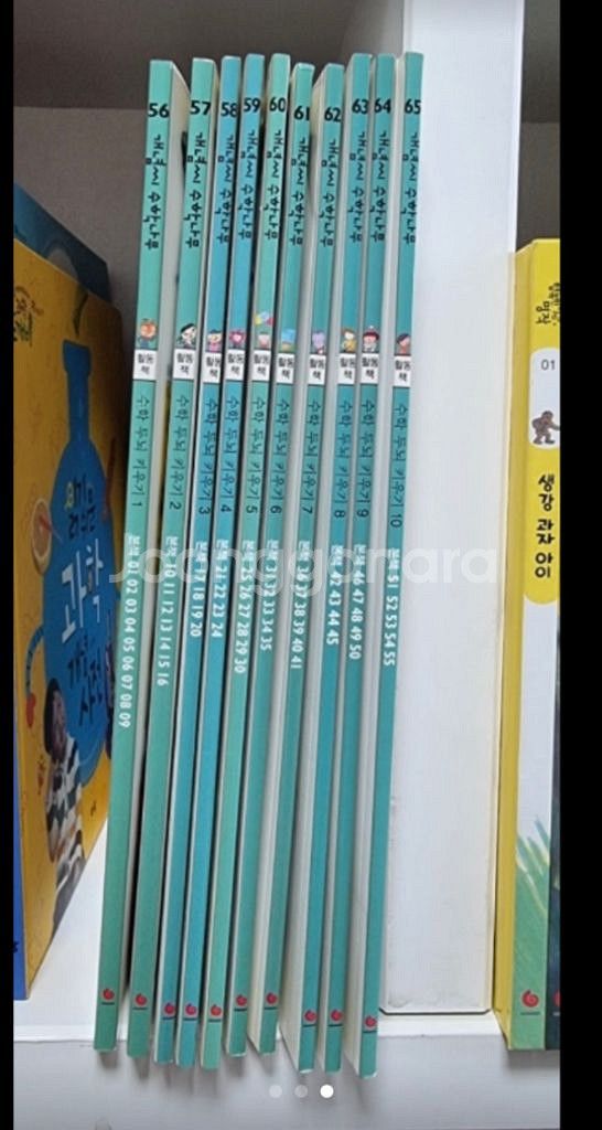 개념씨 수학나무--2