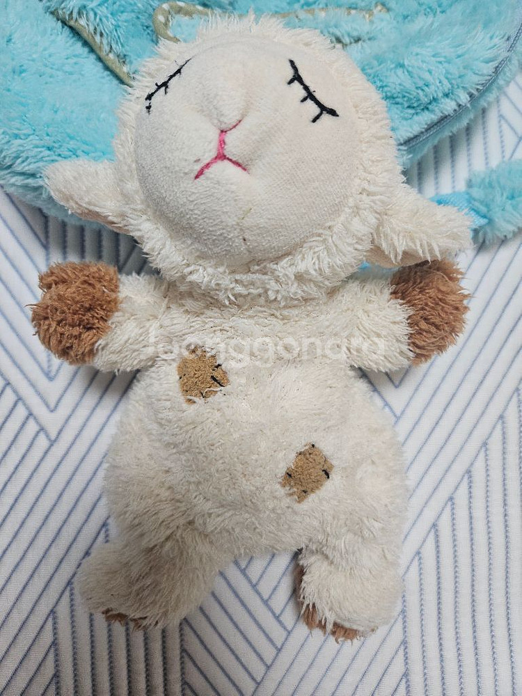 뉴질랜드산 유아용 배낭(가방)--2