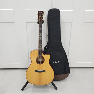콜트 올솔리드 기타 Gold-A10 Cocobolo