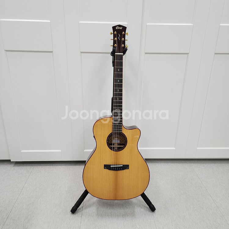 콜트 올솔리드 기타 Gold-A10 Cocobolo--1