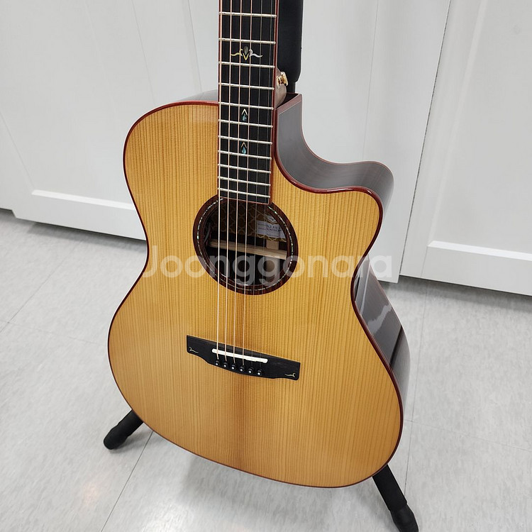 콜트 올솔리드 기타 Gold-A10 Cocobolo--3
