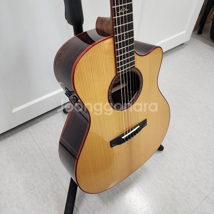 콜트 올솔리드 기타 Gold-A10 Cocobolo--4