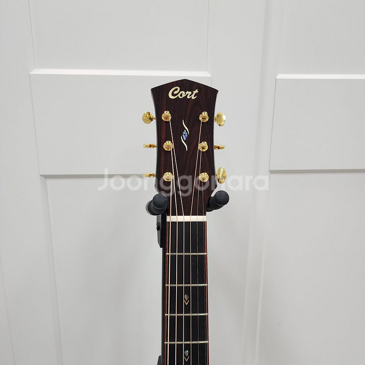 콜트 올솔리드 기타 Gold-A10 Cocobolo--7