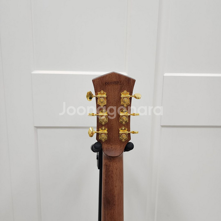 콜트 올솔리드 기타 Gold-A10 Cocobolo--9