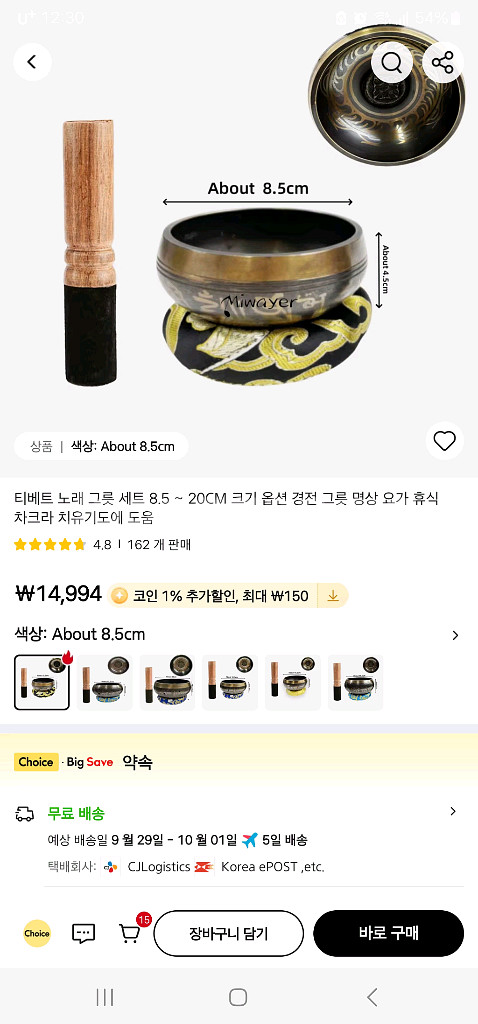 티벳 요가 싱잉볼--0