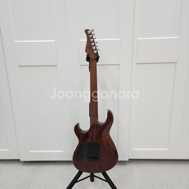콜트 프리미엄 일렉기타 G300 GLAM PIMB--8