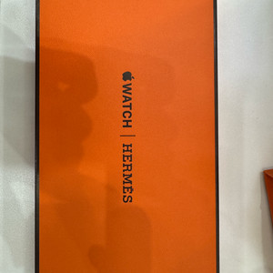 Apple Watch Herms - 49mm그리 티탄
