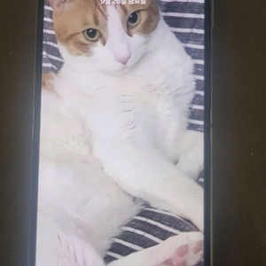 갤럭시z플립5 512 중고 s급