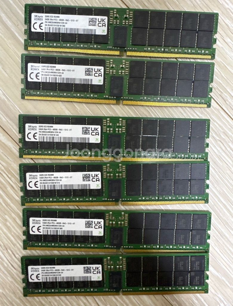 SK하이닉스 DDR5 ECC RDIMM 64GB(480--0