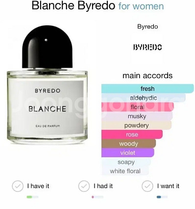 바이레도 블랑쉬edp (100ml)코튼향의정석--3